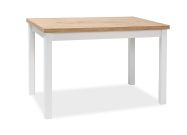 Jídelní stůl ADAM 100x60 dub lancelot/bílá mat