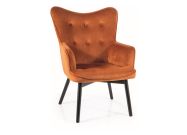 Čalouněné křeslo CASA 11004 velvet šedá/wenge