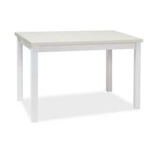 jídelní stůl 100x60, barva bílá mat