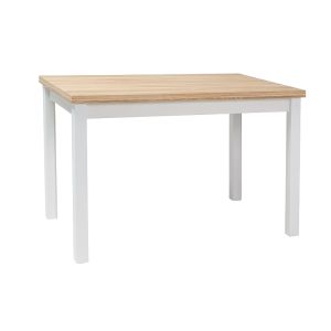 jídelní stůl 100x60, barva dub/bílá mat